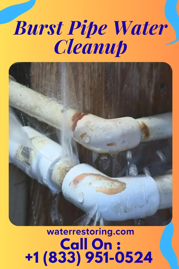 Burst Pipe Water Cleanup in Aquilla, OH