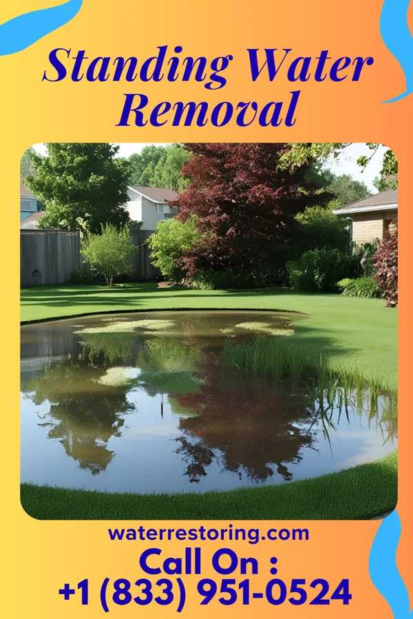 Standing Water Removal in Aquilla, OH